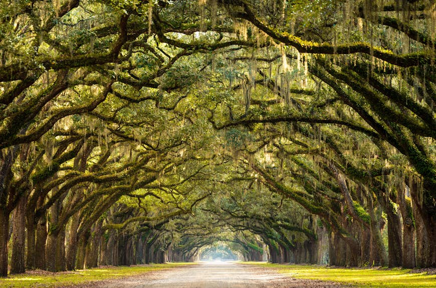 Forsyth Park in Savannah