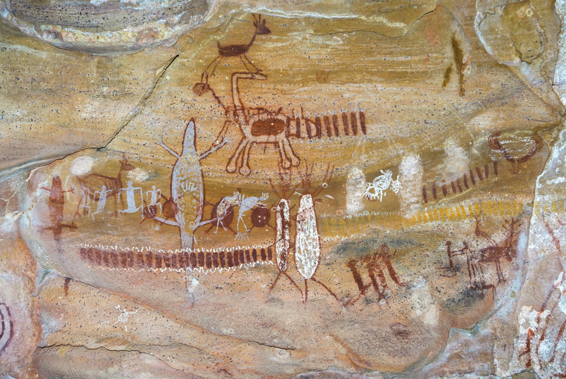 Rock paintings at Serra da Capivara National Park