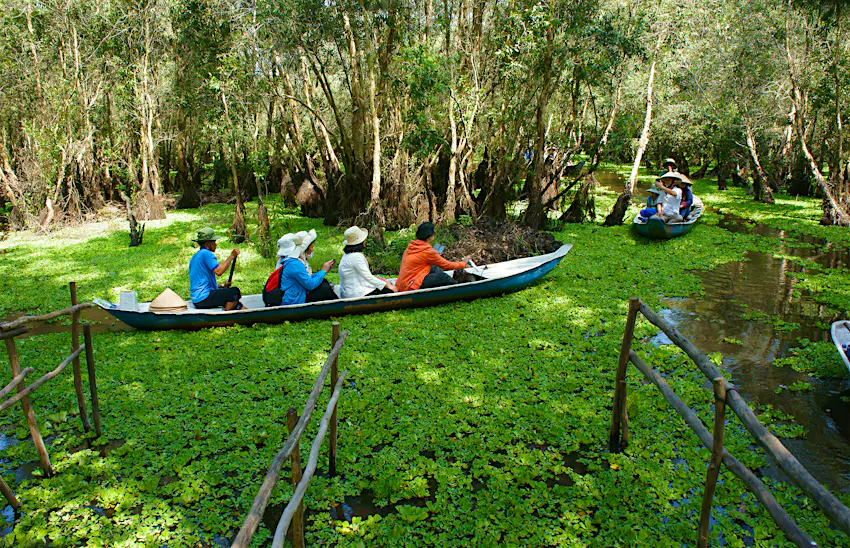 Group of travellers at Chau Doc, Mekong Delta, Tra Su indigo forest, crowded row boat, ecotourism, Vietnam, Group of travellers at Chau Doc, Mekong Delta, Tra Su indigo forest, crowded row boat, ecotourism, Vietnam,
