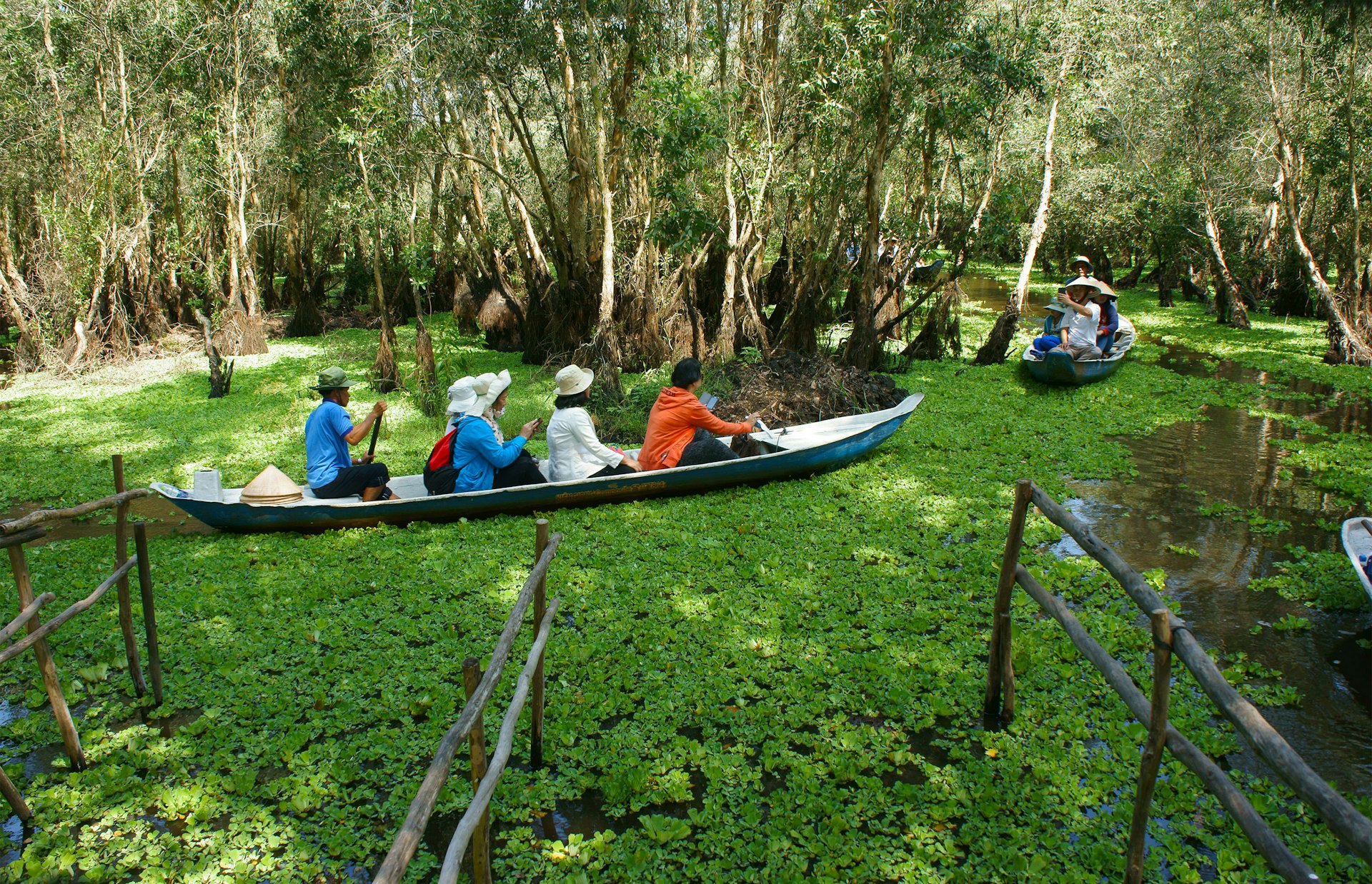 Group of travellers at Chau Doc, Mekong Delta, Tra Su indigo forest, crowded row boat, ecotourism, Vietnam,