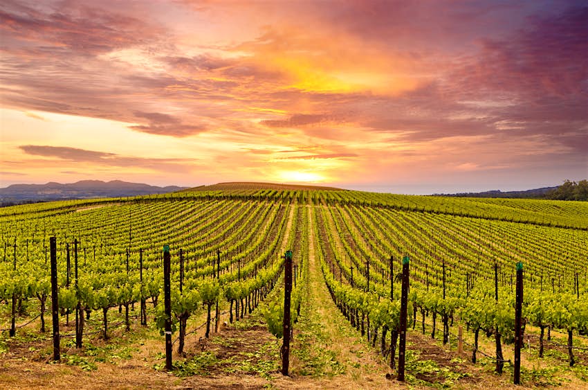 Best things to do in Napa Valley - Lonely Planet