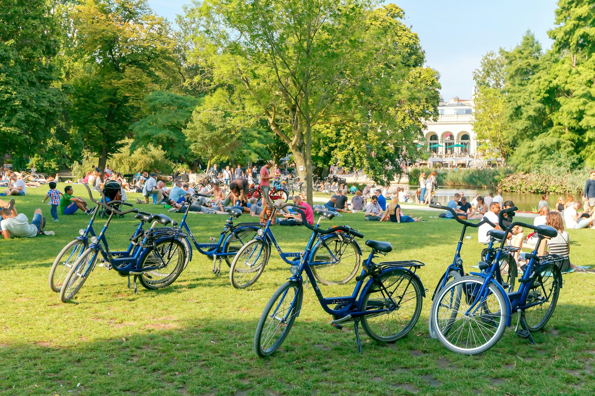 Groups of people sat on a lawn in a park with bicycles standing up nearby