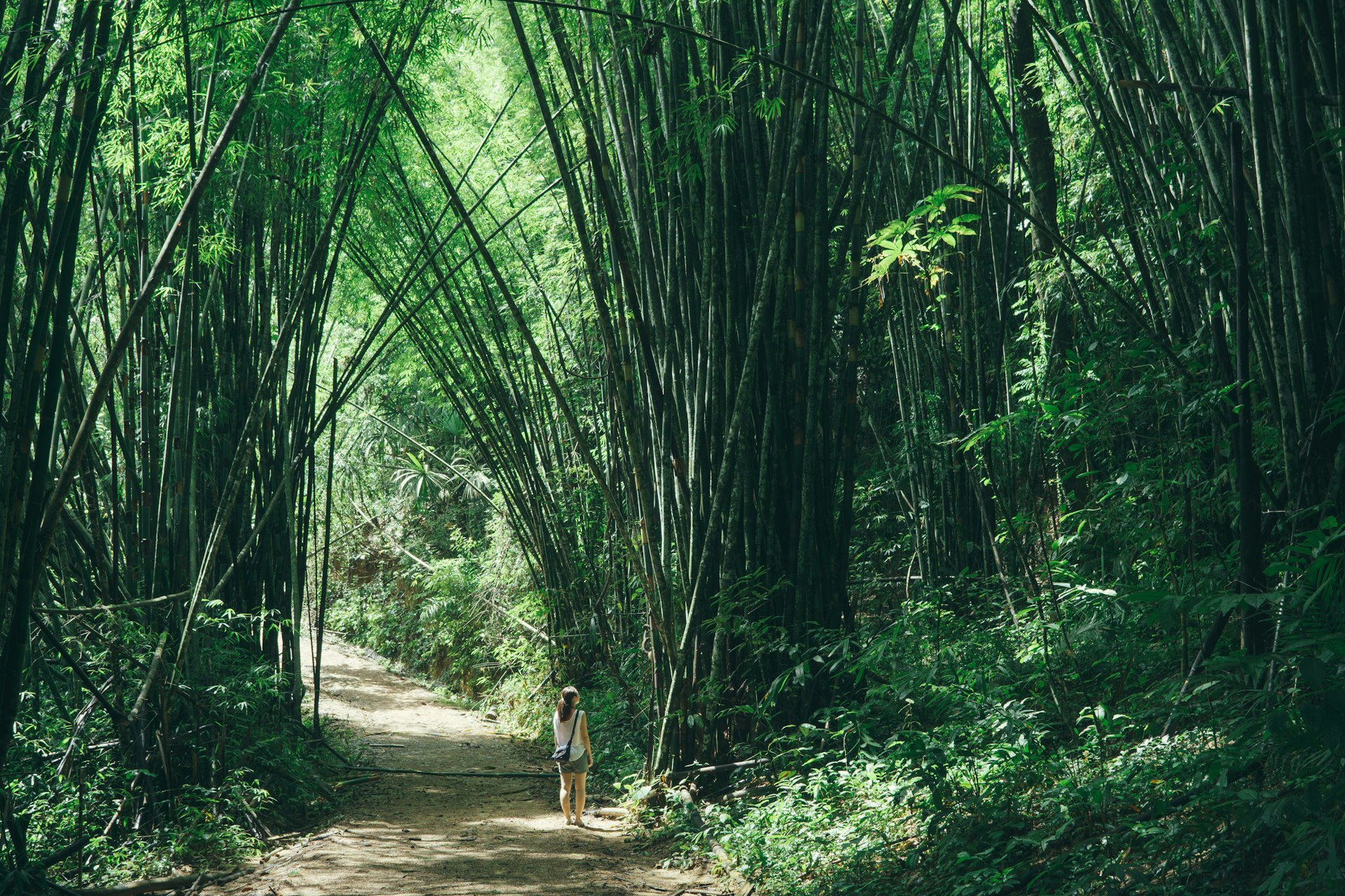 Mulher explorando a floresta de bambu no Parque Nacional Khao Sok, Tailândia