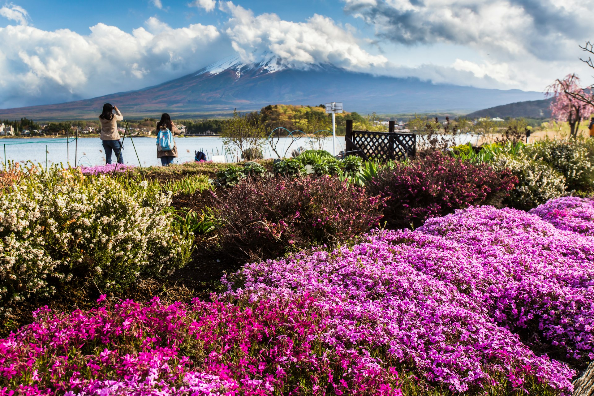 Mount Fuji with clouds at Lake Kawaguchi in the spring season, Yamanashi, Japan