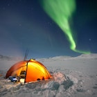 A tent in a snowy field illuminated at night under the Northern Lights.