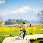 Mt. Fuji with snow and flower garden along the wooden bridge at Kawaguchiko Lake, Japan