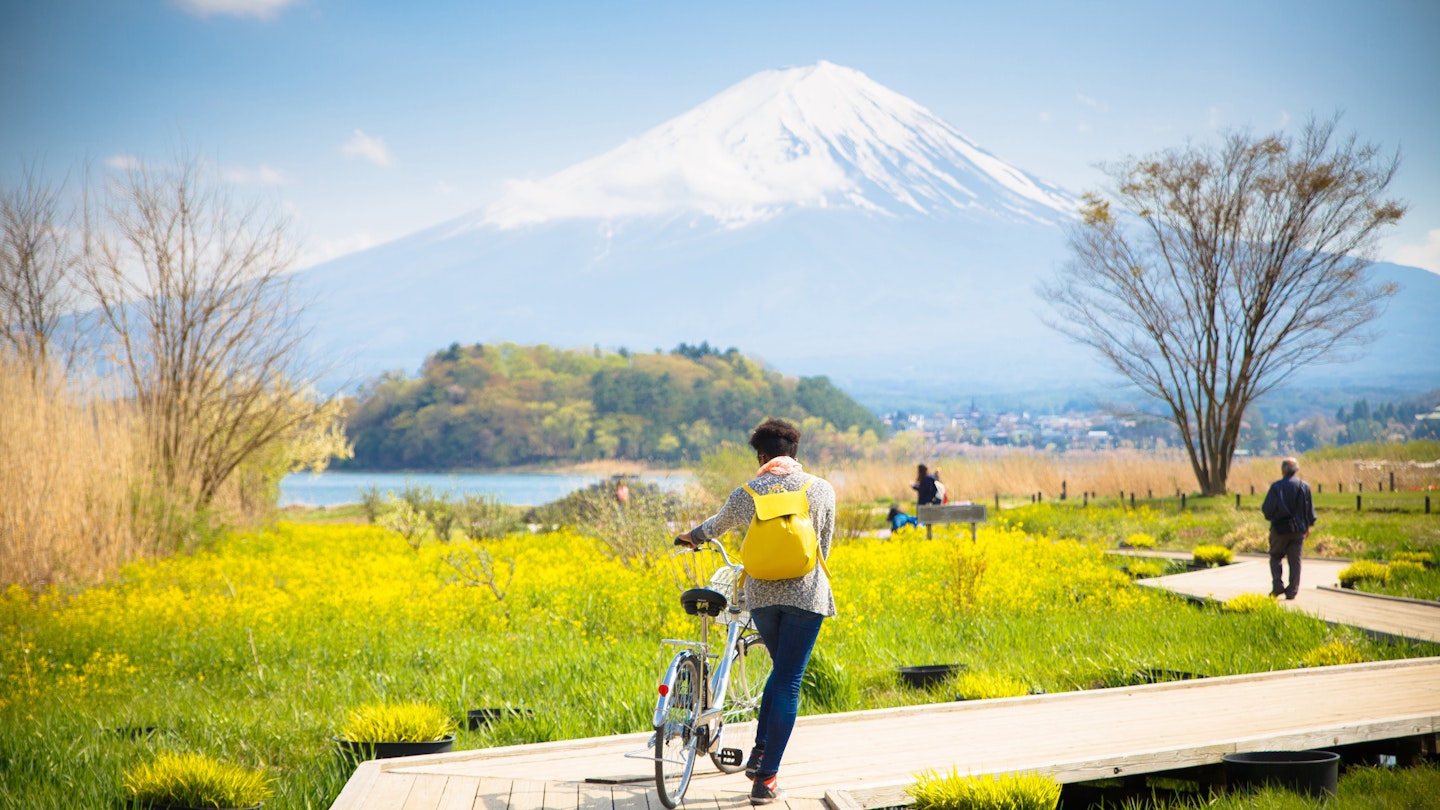 Mt. Fuji with snow and flower garden along the wooden bridge at Kawaguchiko Lake, Japan