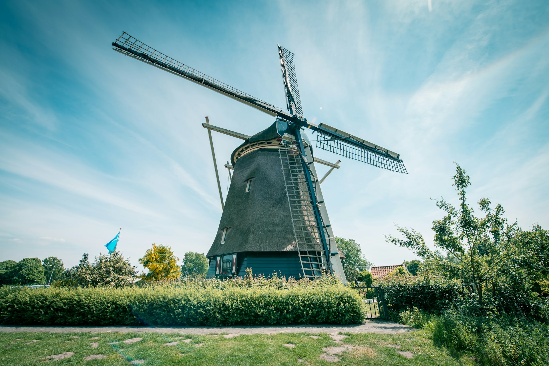 A traditional Dutch wooden windmill in parkland