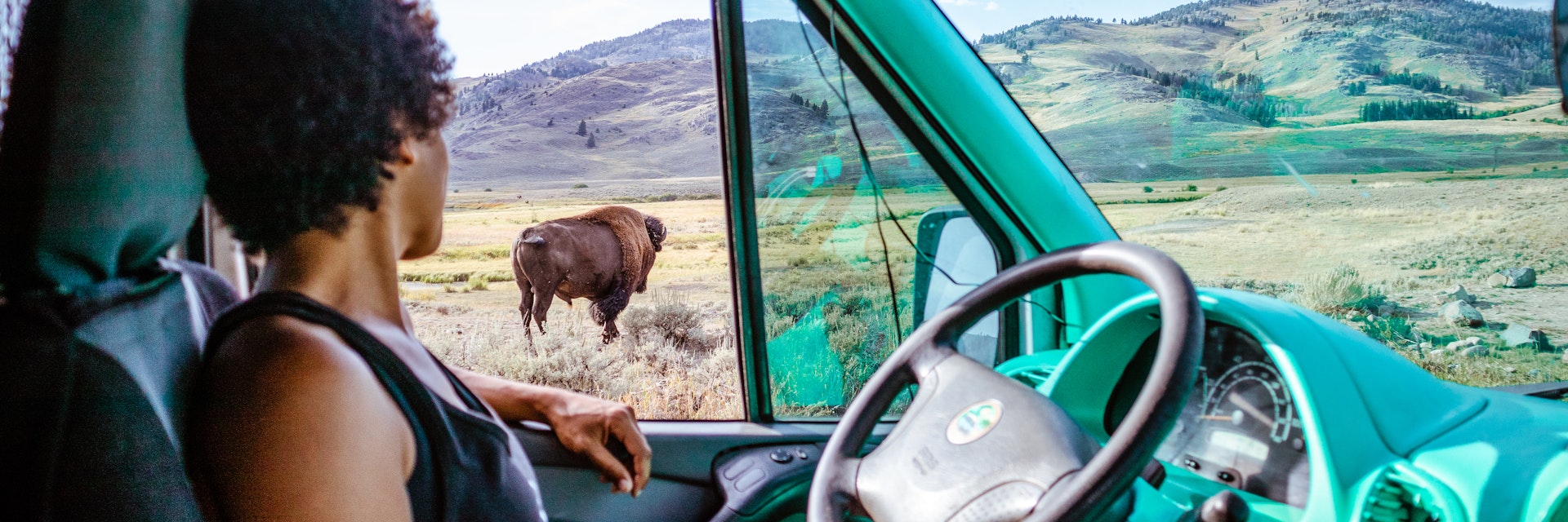 Woman looking out van window at bison in Yellowstone