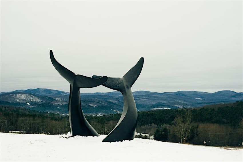 The Whale's Tails sculpture in Randolph, Vermont