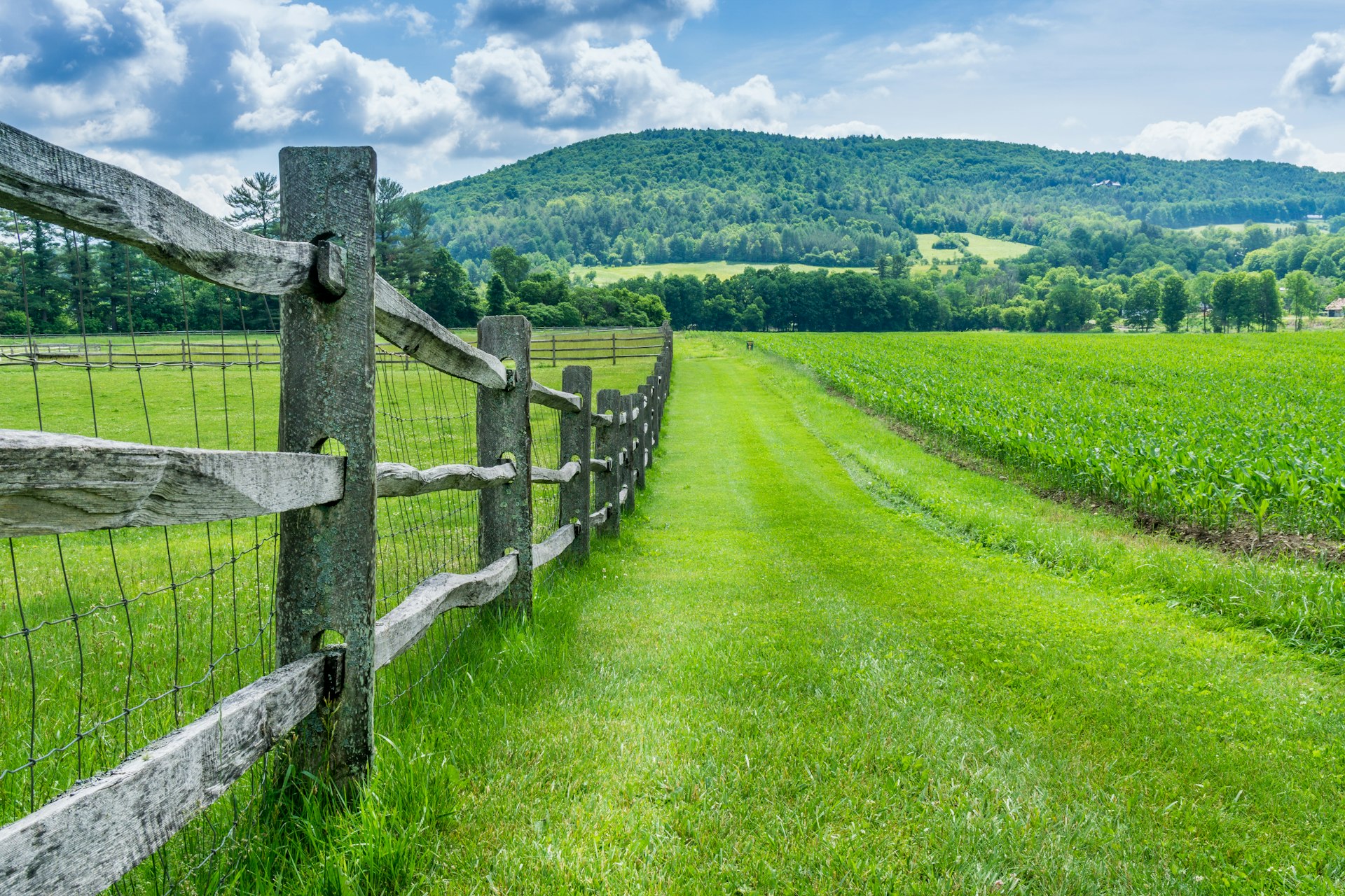 A green field with a long wood and wire fence and a mountain in the background