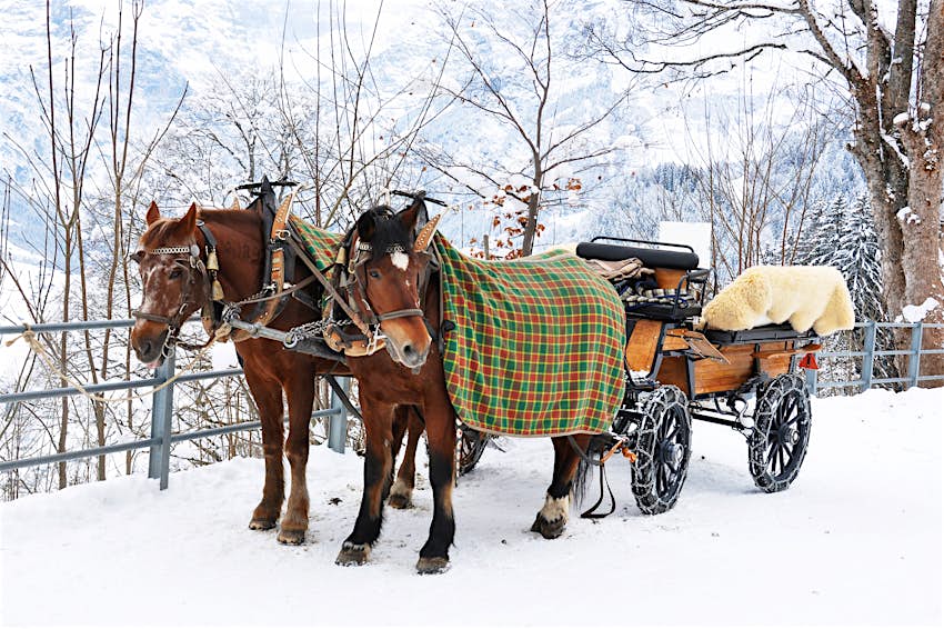 Horse-drawn carriage of Braunwald, Switzerland