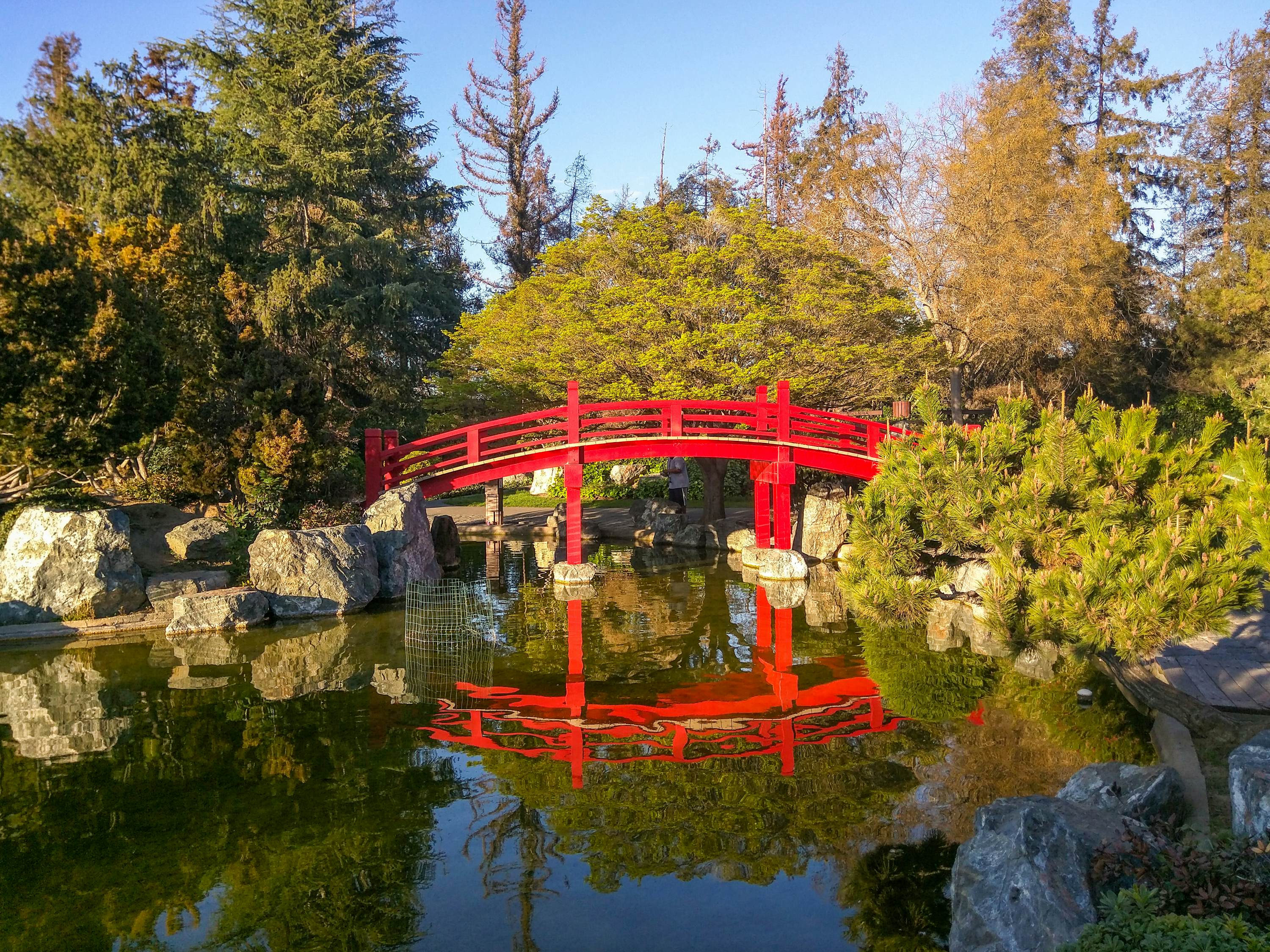 These San Jose city parks feel miles away city hustle - Lonely Planet