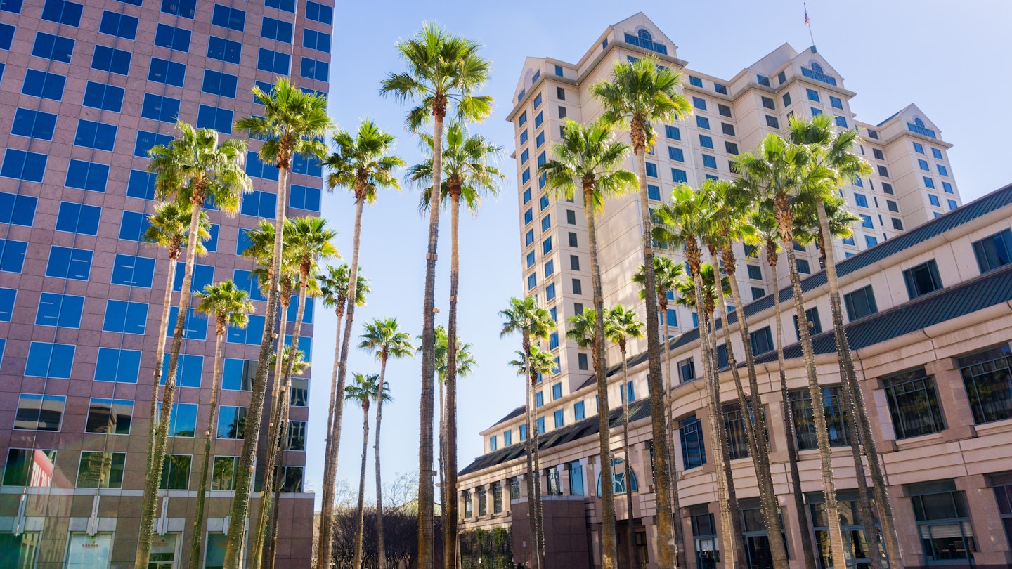 Palms rise over downtown San Jose, California
