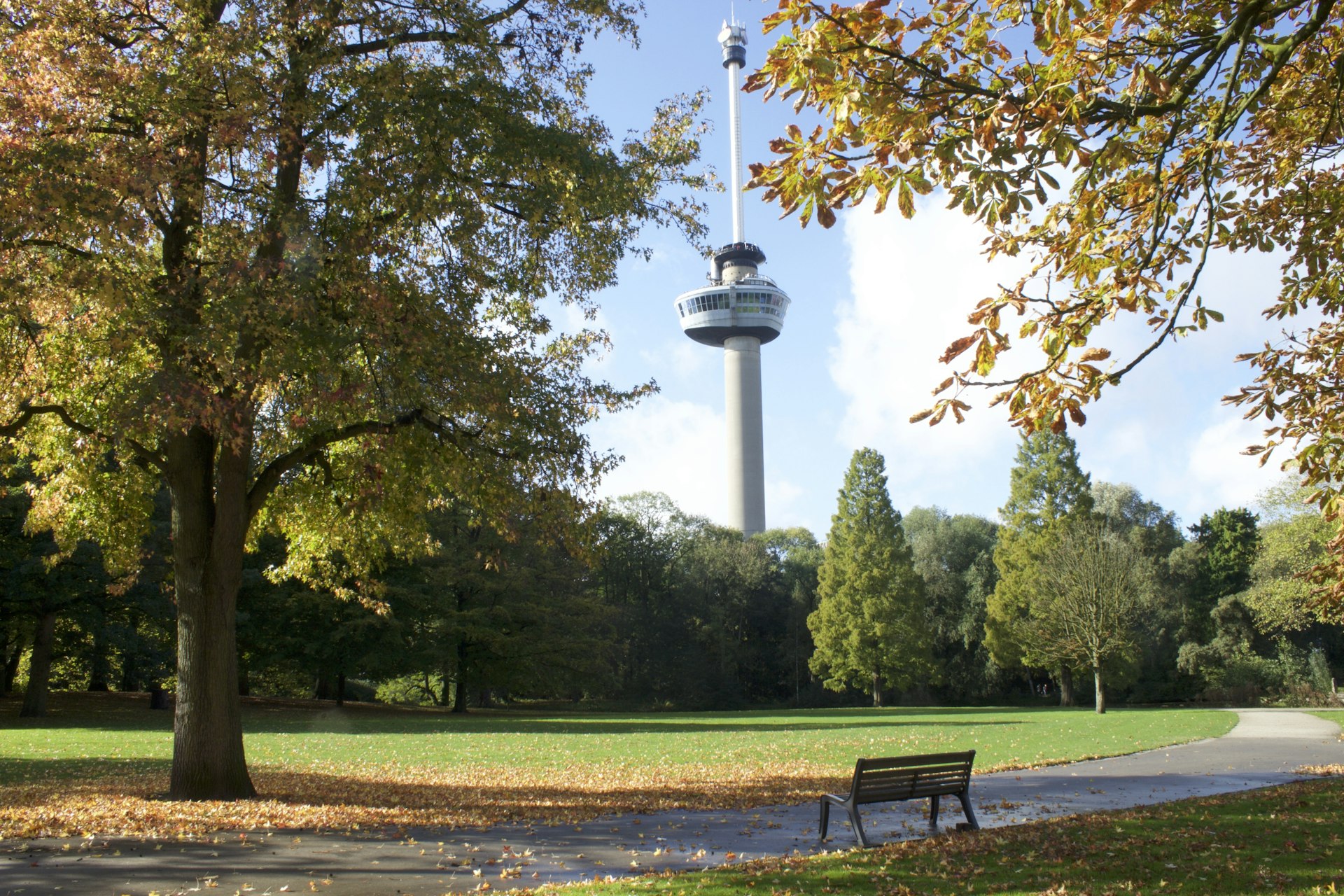 A large green space with a tall tower overlooking it