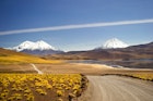 Road on the way to Lake Miscanti, Atacama dessert, Chile