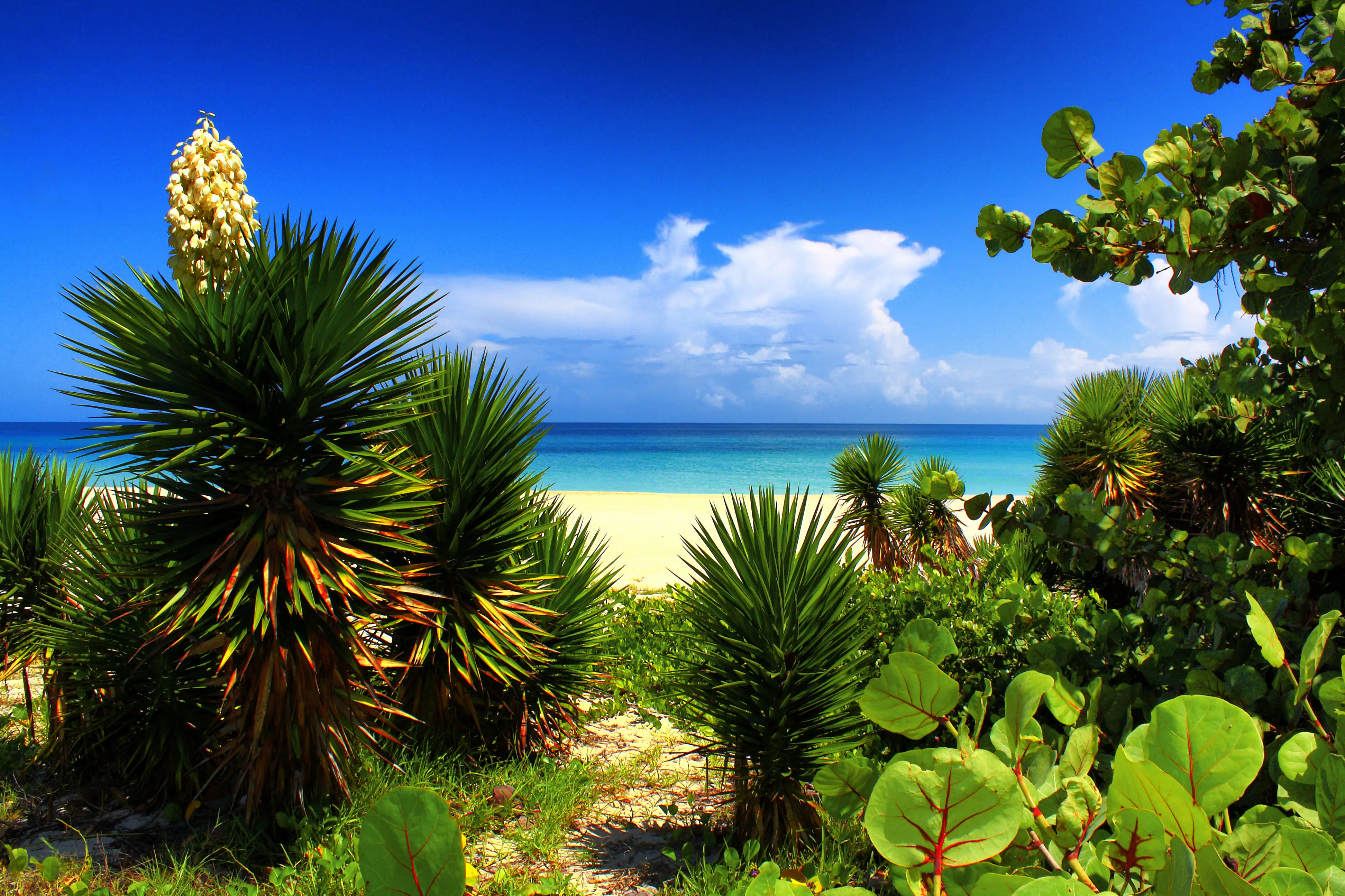 The Other Side Of Varadero Leave The Resorts Behind Lonely Planet