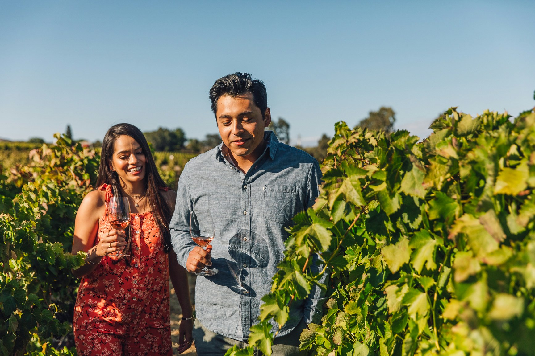 A young couple walk through a vineyard in California