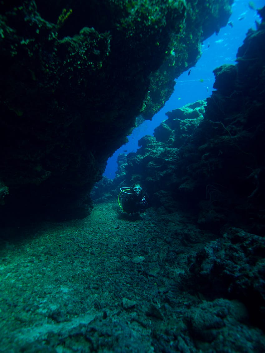Fiji-Diving_bligh-water.jpg