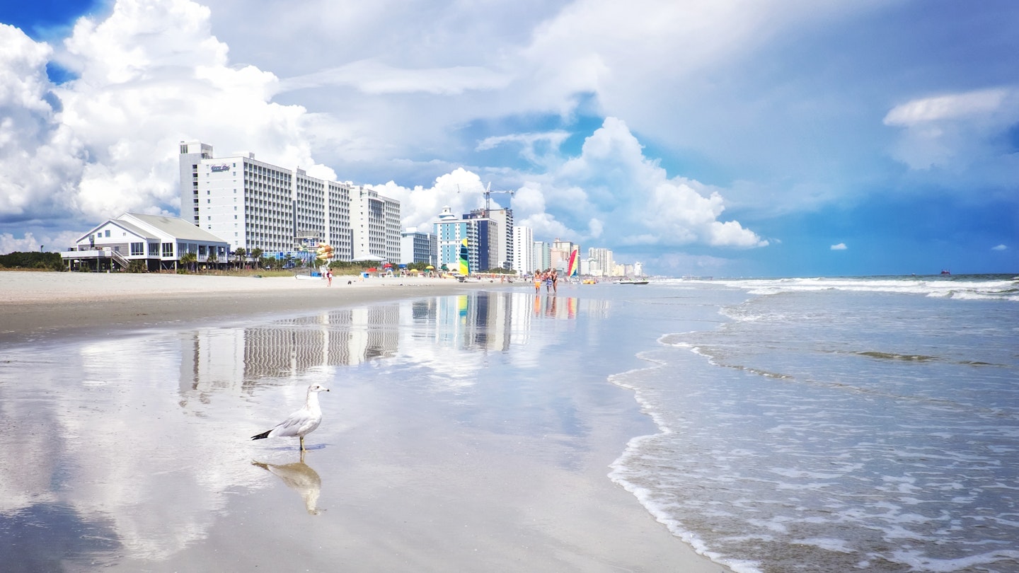 Beautiful view of Seagull In front of Myrtle Beach, South Carolina with clouds reflected along the shoreline.