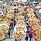 Medellin, Antioquia, Colombia. August 11, 2013: Crowd of people in silleteros parade, flower fair.