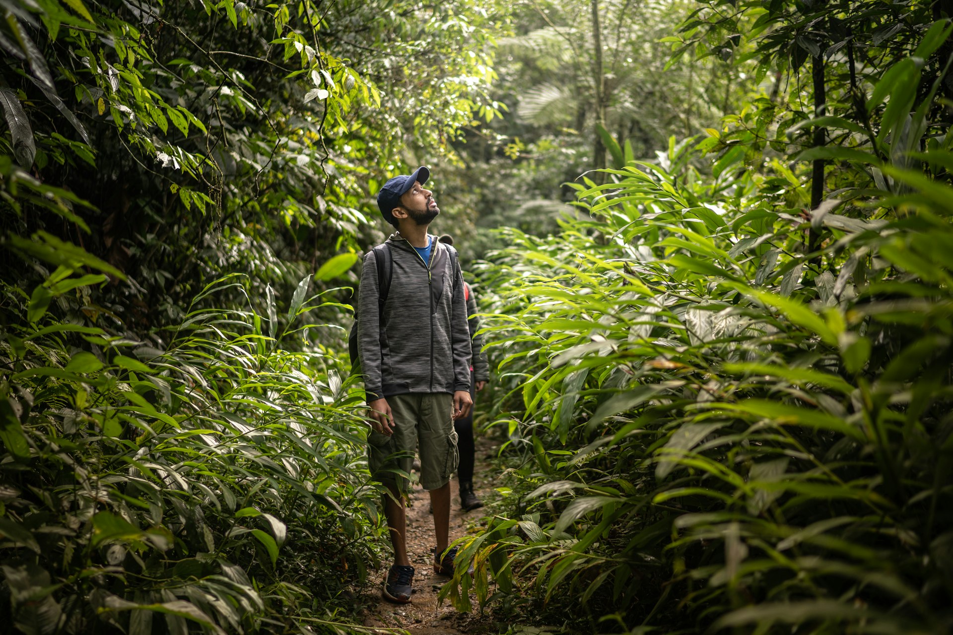 Man walking in the Brazilian rainforest
