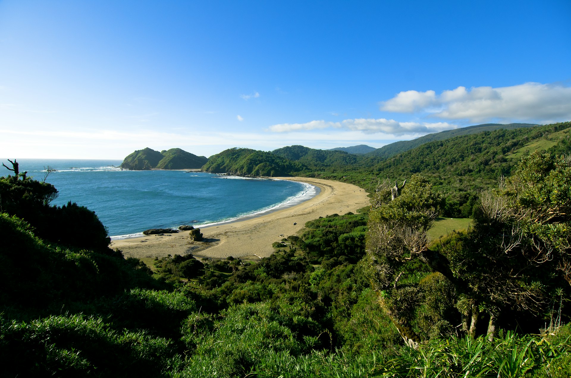 An empty sandy cove surrounded by dense forest at Cole Cole Beach, Chile