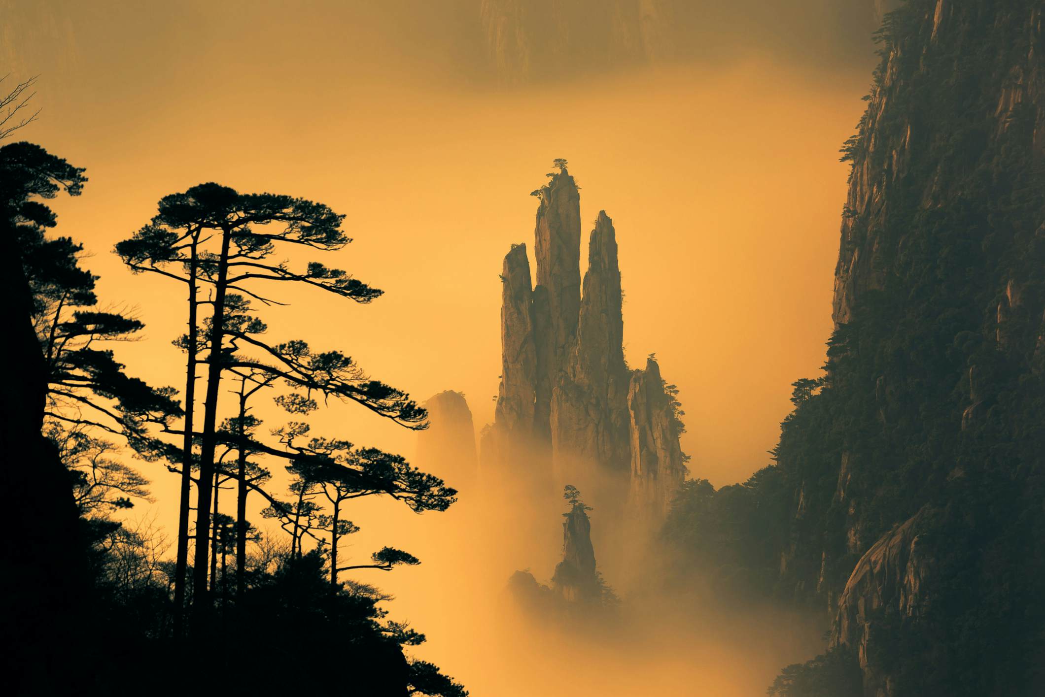 黄山位于中国东部，靠近上海。它是中国最受欢迎的旅游胜地之一。