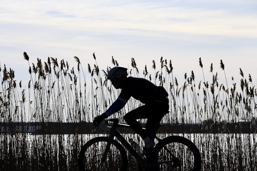 A person rides their bike through a reed-lined path, backlit by the sun