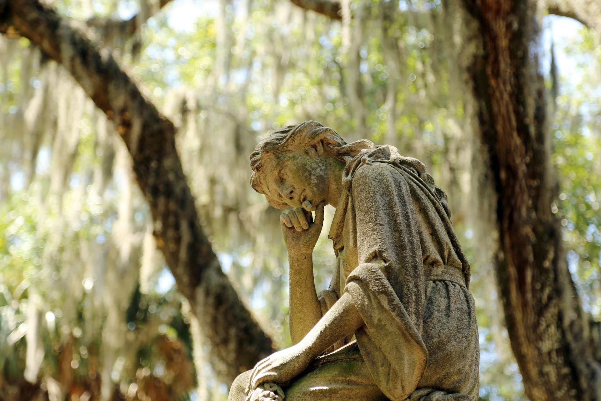 an angel sculpture framed by Spanish moss at Bonaventure Cemetery in Savannah, GA