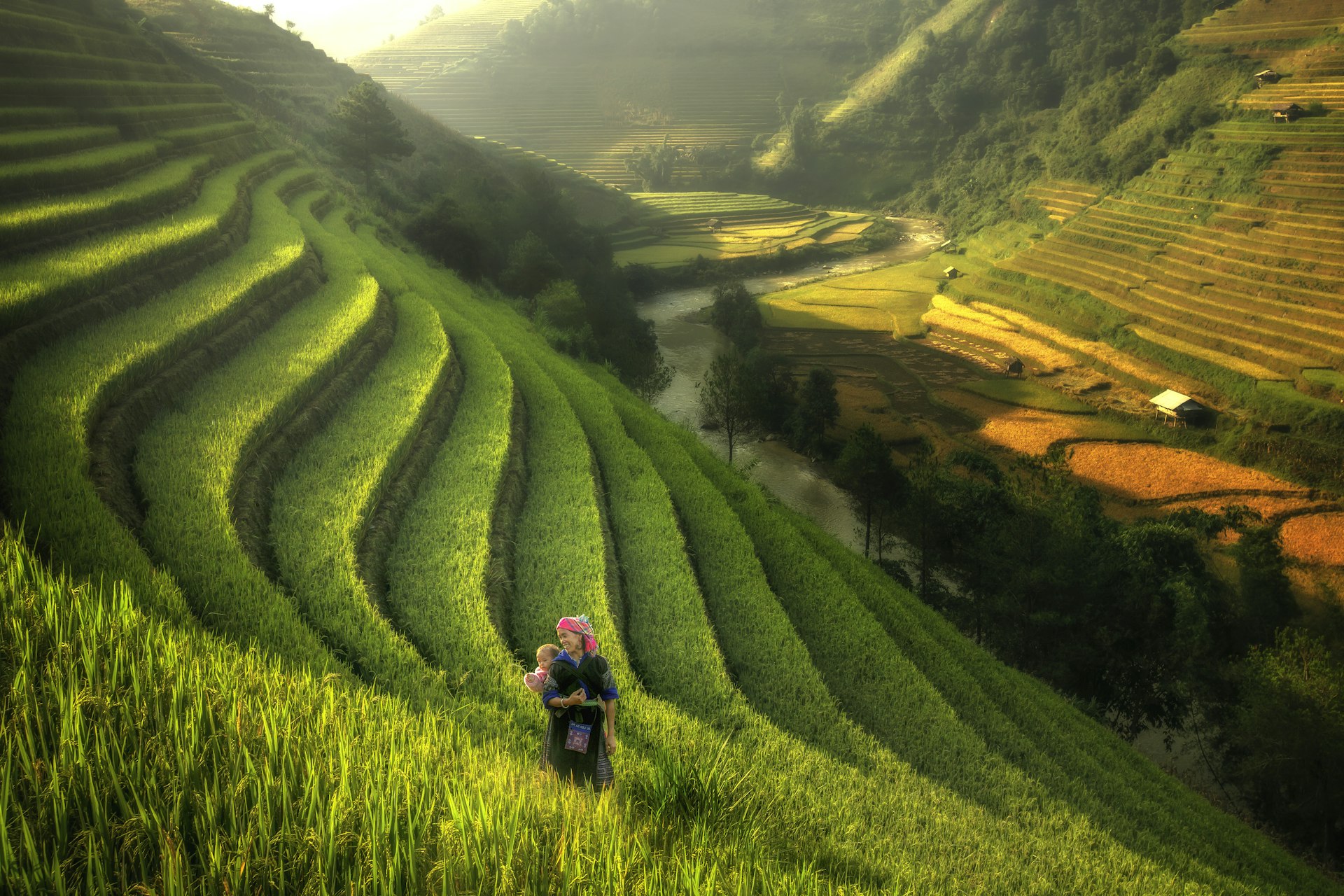 A mother carrying a child on her back walks through rice terraces