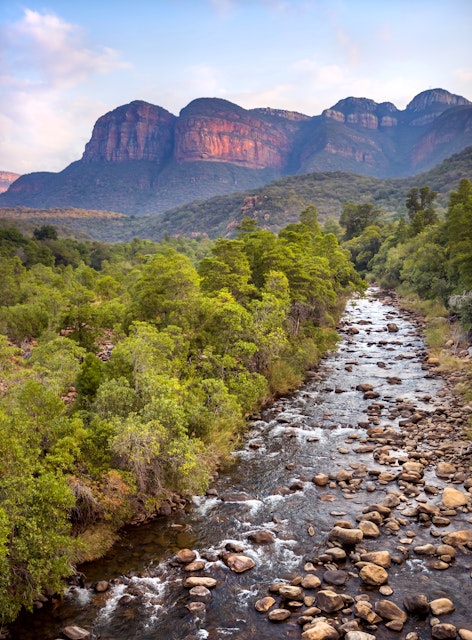 A river flowing through a forest with dramatic mountain in the background at the Blyde Nature reserve.