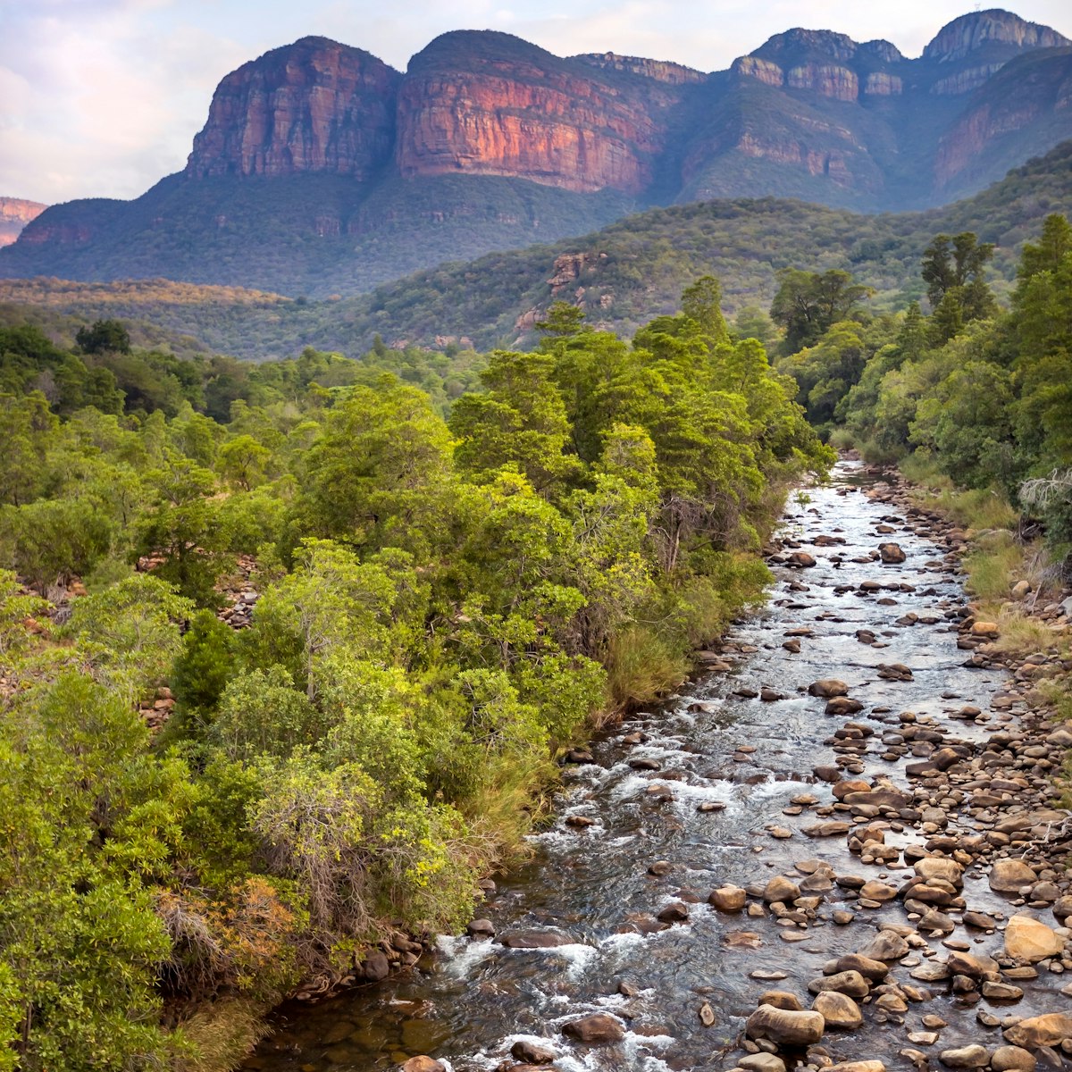 A river flowing through a forest with dramatic mountain in the background at the Blyde Nature reserve.