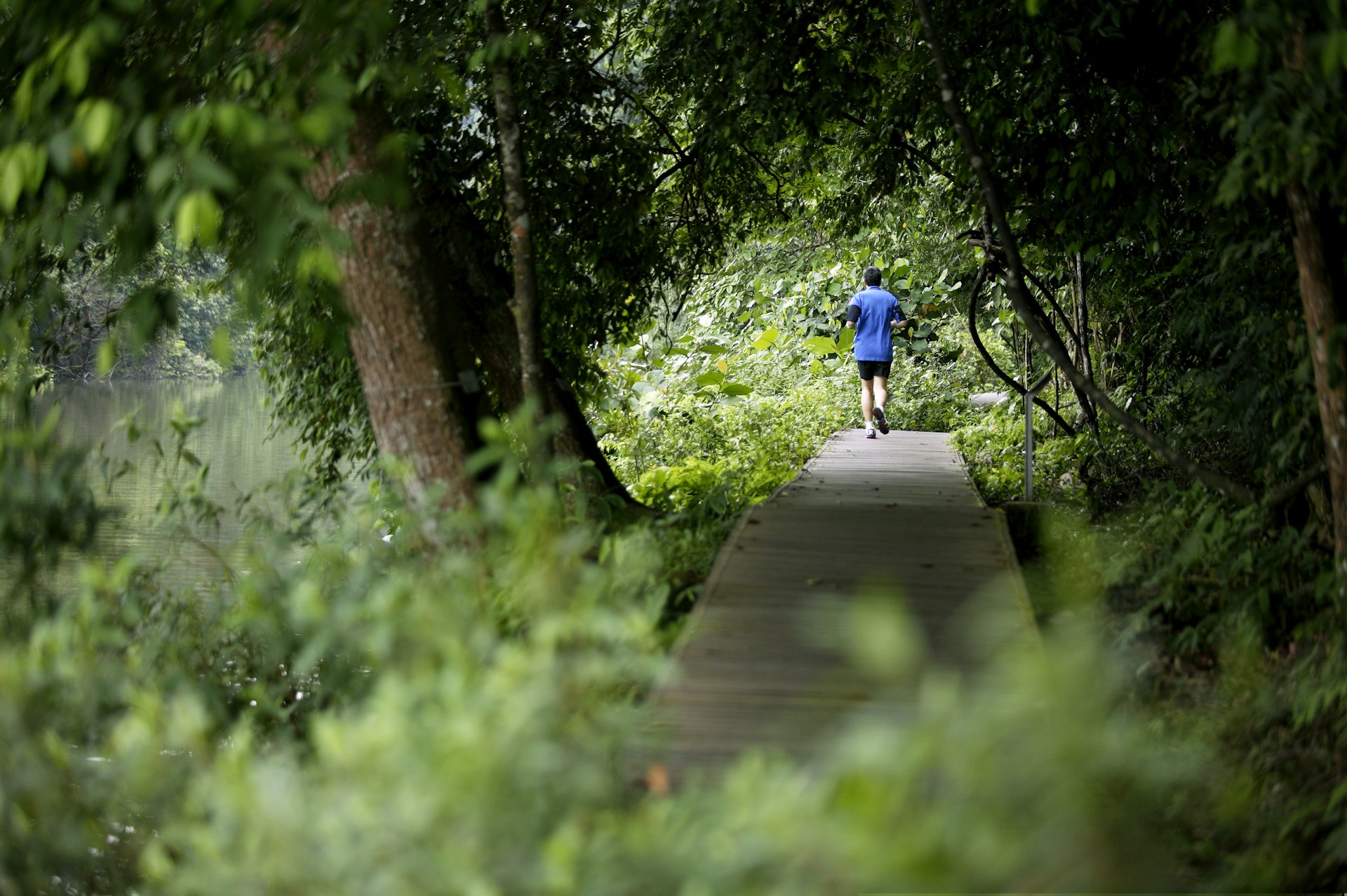 Hiking in Singapore: 18 Amazing Walking Trails For Trekkers To Try