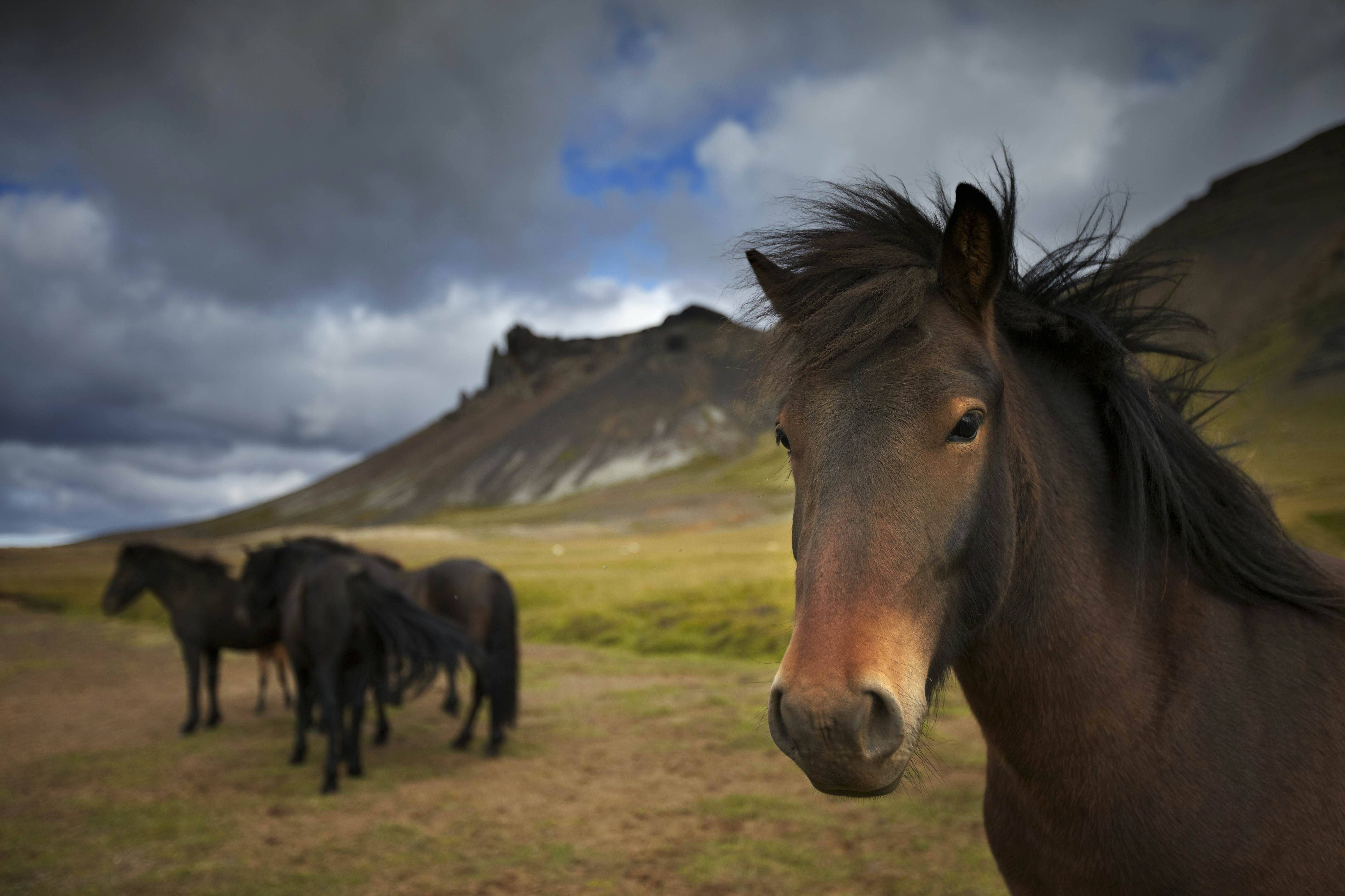 Visa Requirements For Visiting Iceland Lonely Planet   LPT0111 100 