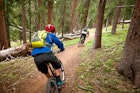 Mountain bikers riding down a trail in the woods.