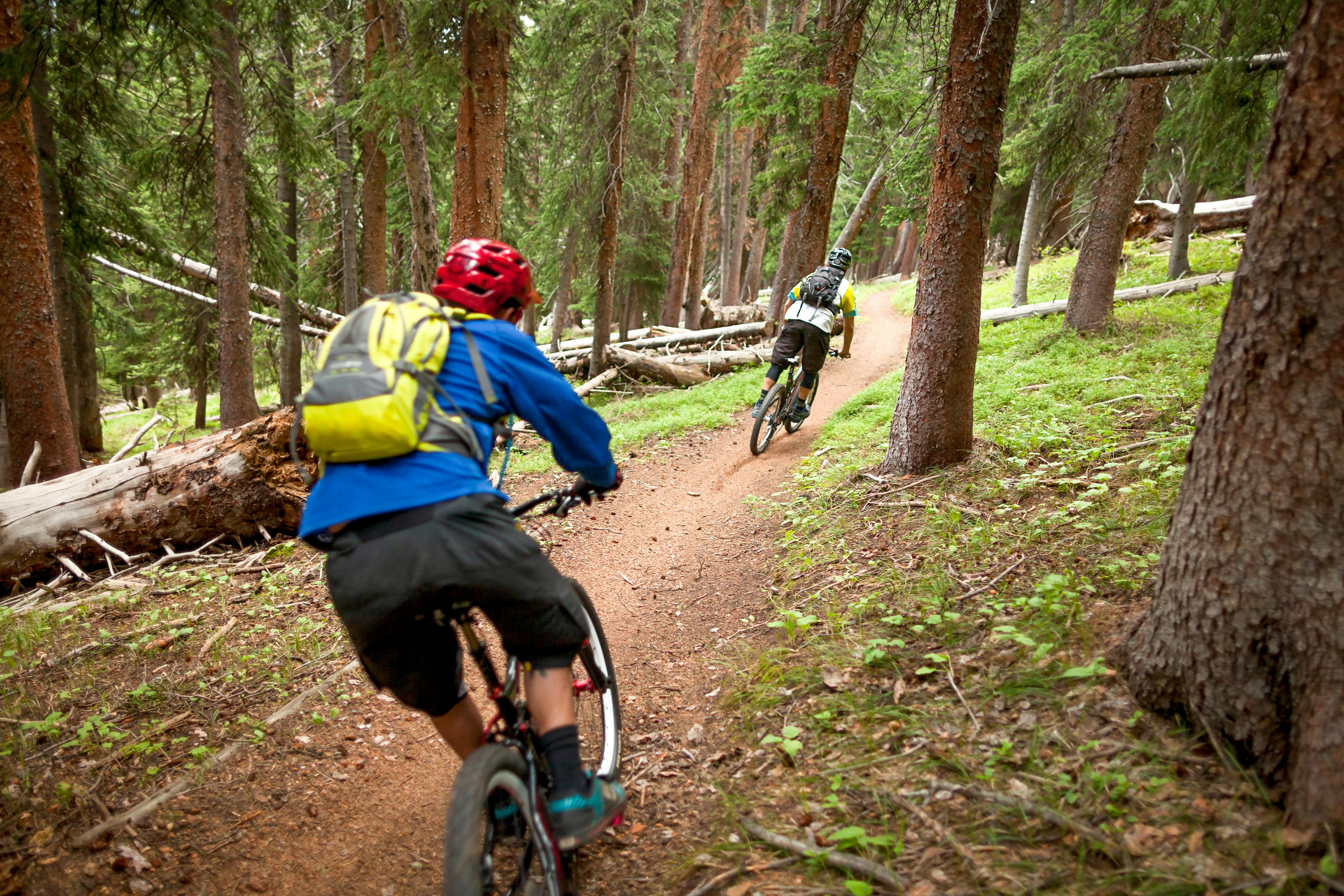 Mountain bikers riding down a trail in the woods at Vail