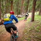 Mountain bikers riding down a trail in the woods.