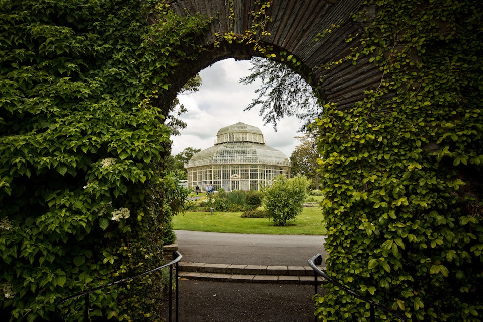 National Botanic Gardens in Dublin.