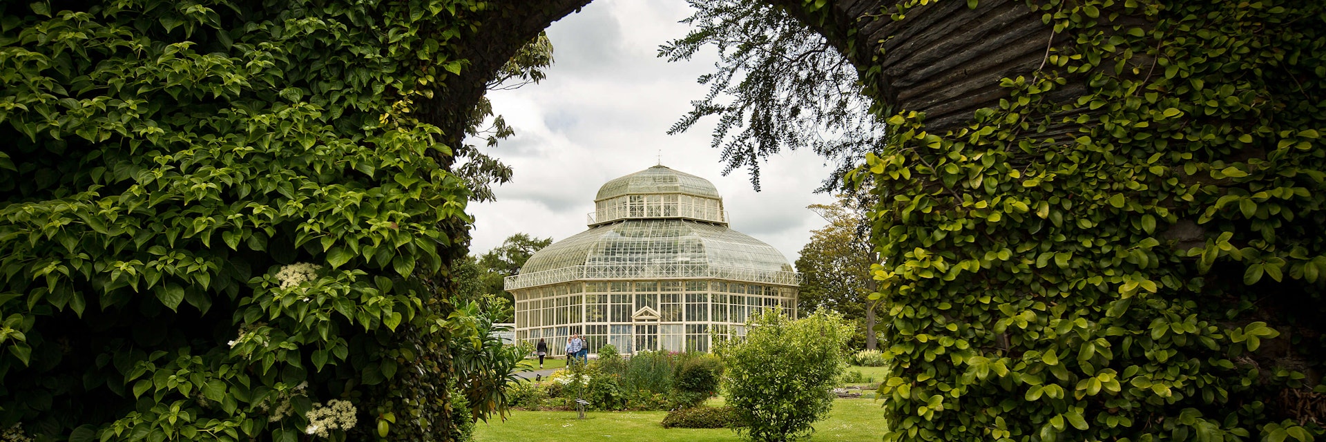 National Botanic Gardens in Dublin.