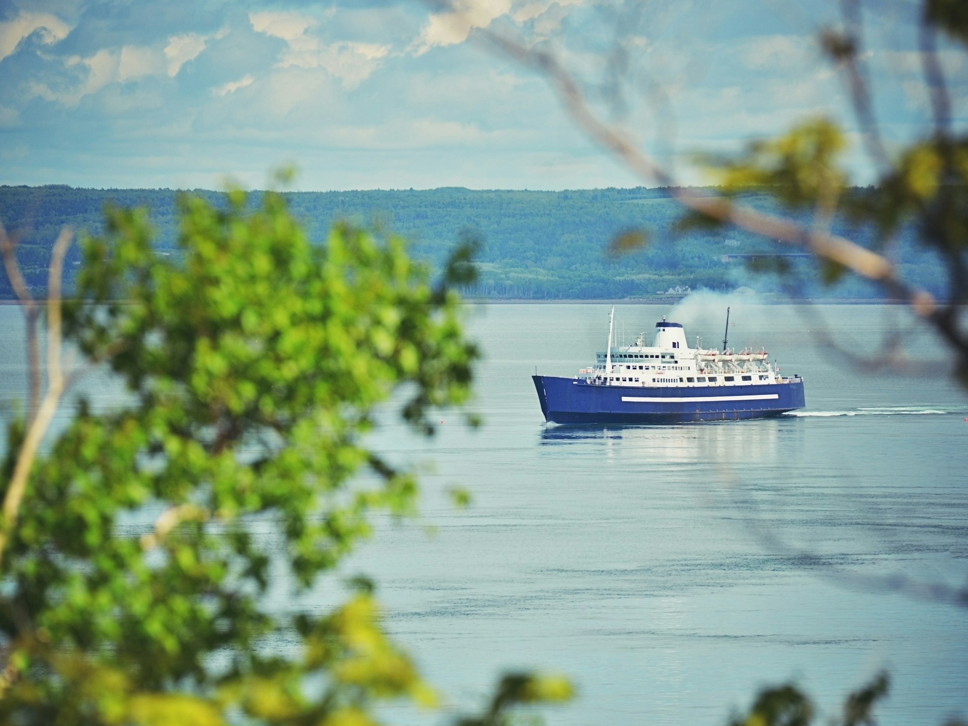 A white and blue ferry crosses a large body of water en route to Nova Scotia, Canada. The image is framed by the branches of a tree in the foreground.