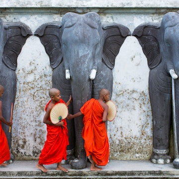 Novice monks feeding monkeys outside temple.  Sri Lanka.