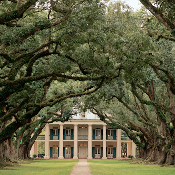Oak Alley Plantation