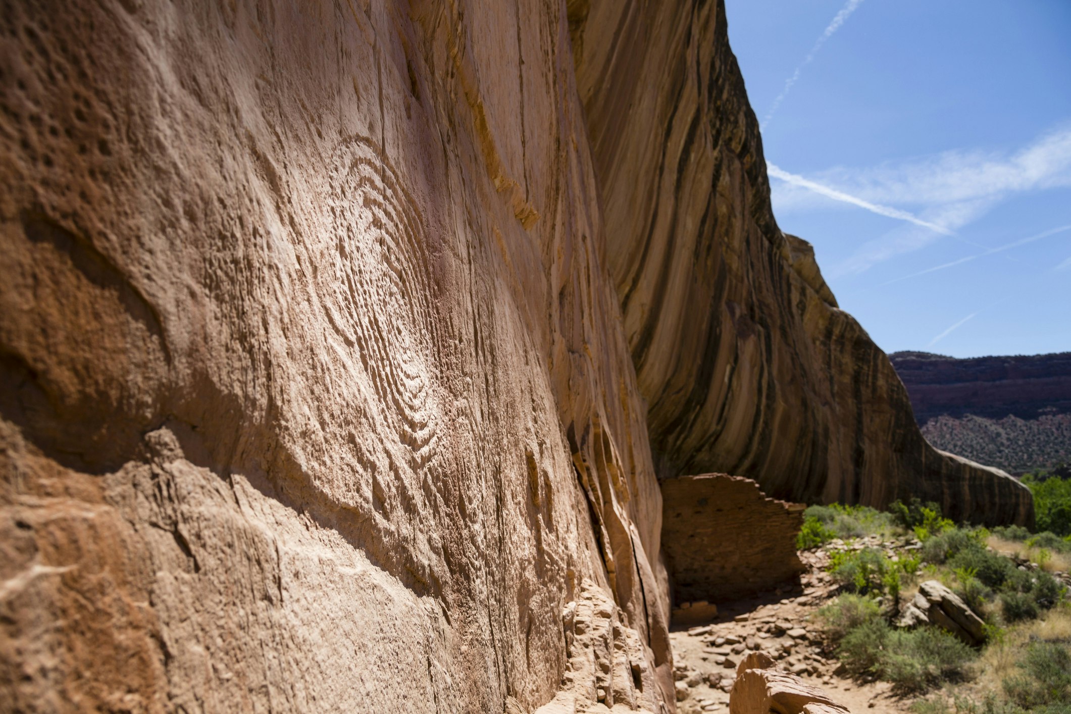 Petroglyph on rock wall, Arch Canyon, Utah, USA