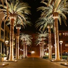 This photo is of Downtown San Jose.