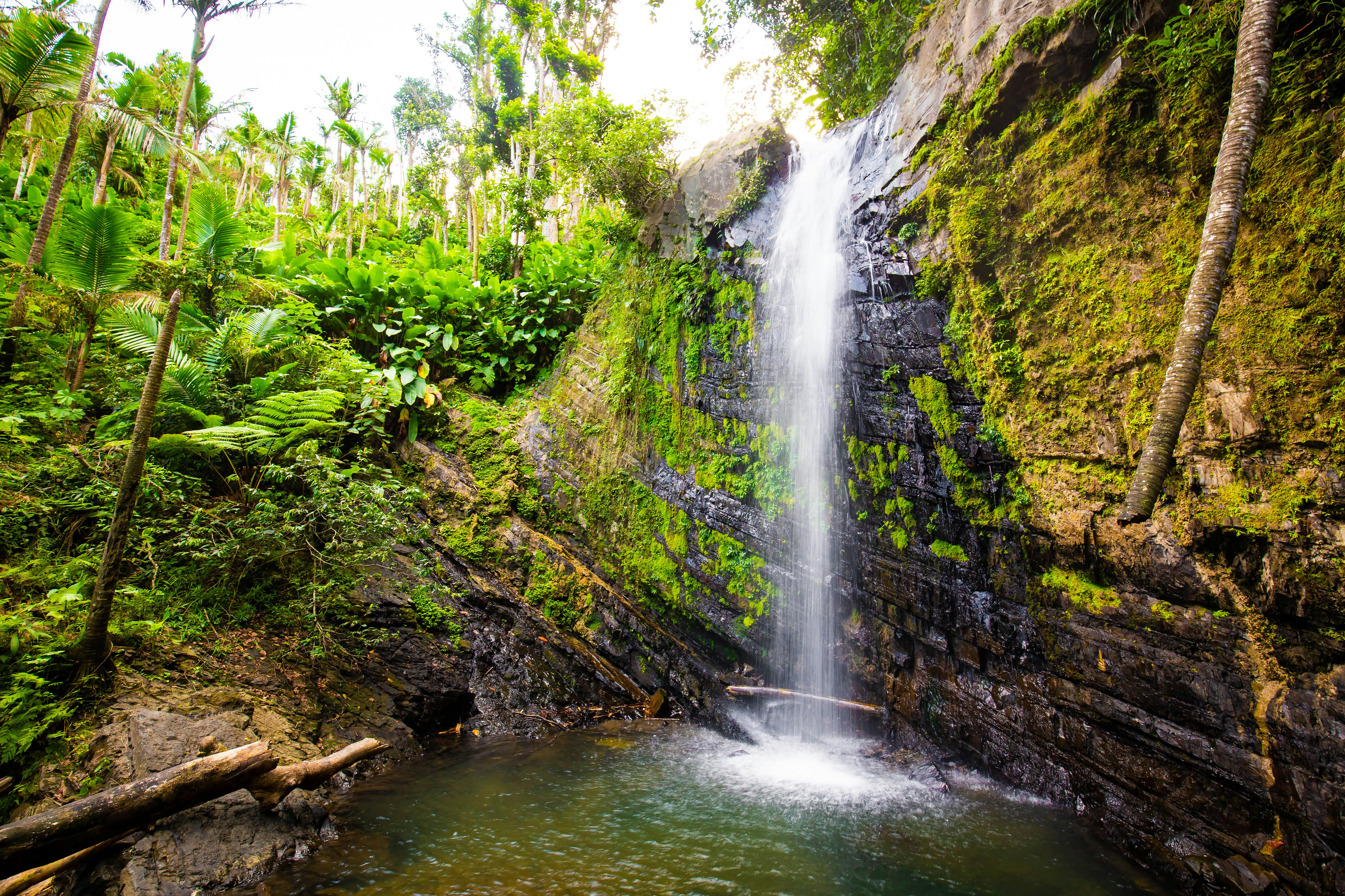 Beautiful waterfalls pour in the el Yunque Rainforest in Puerto Rico. 