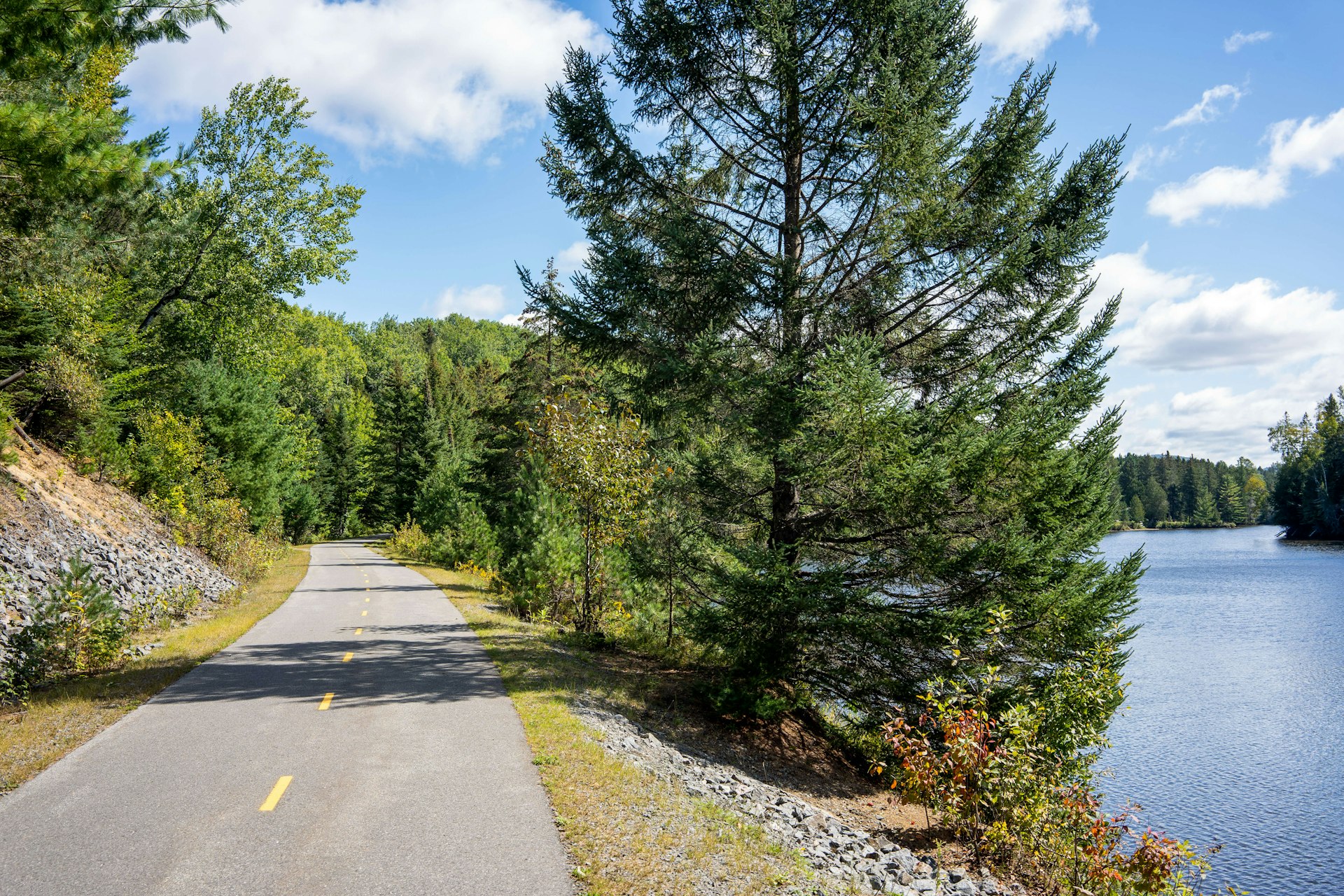 A paved portion of Route Verte in Quebec, with green trees and waterfront