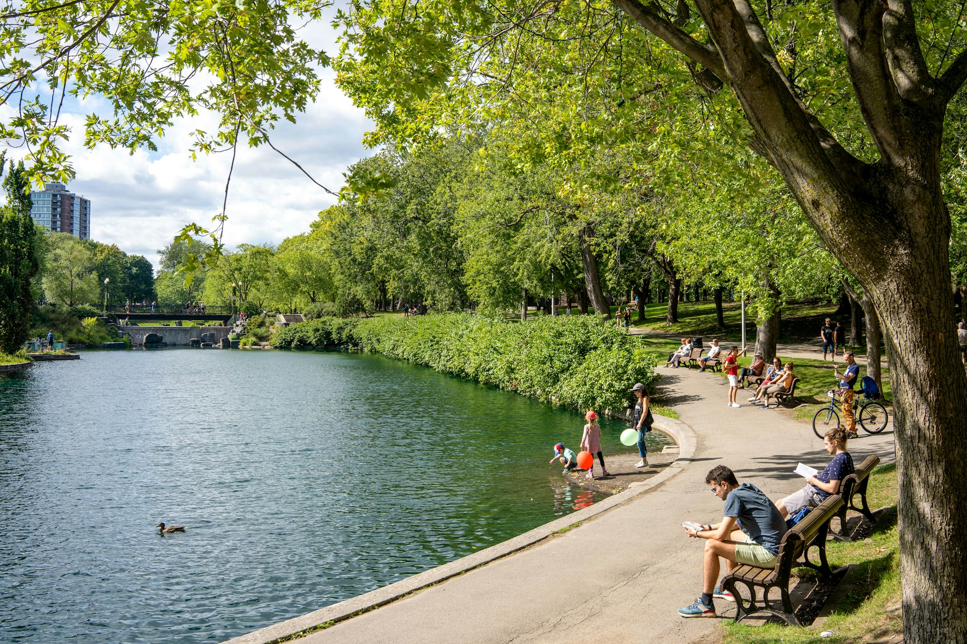 A shady path passes an urban river