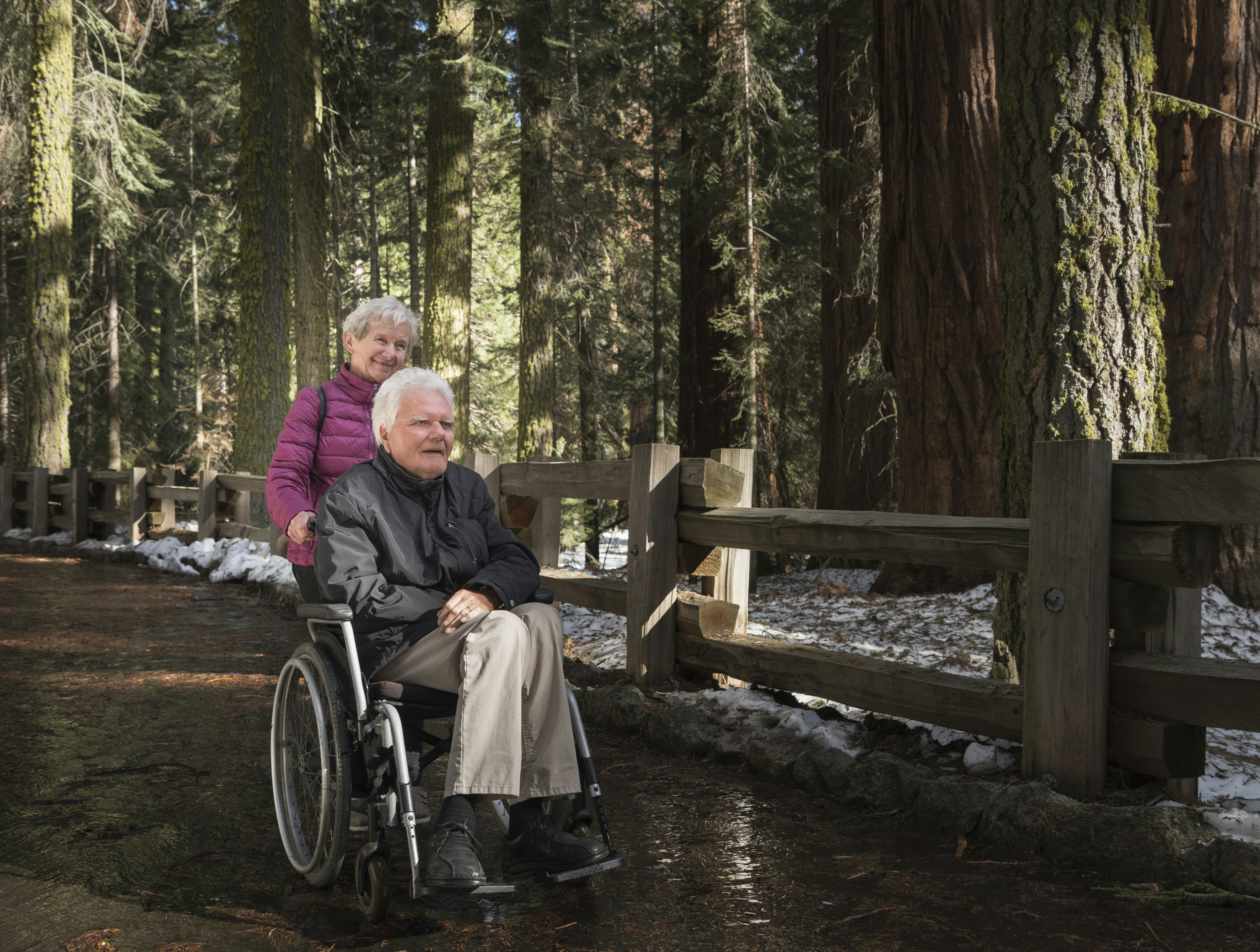 Senior woman pushing husband in wheelchair through forest at Sequoia National Park, California, USA