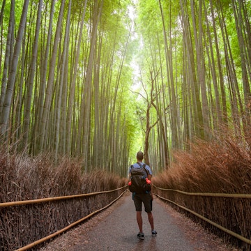 Young tourist enjoying the sunset in Arashiyama Bamboo Forest, one of the most famoust places in Kyoto, Japan
